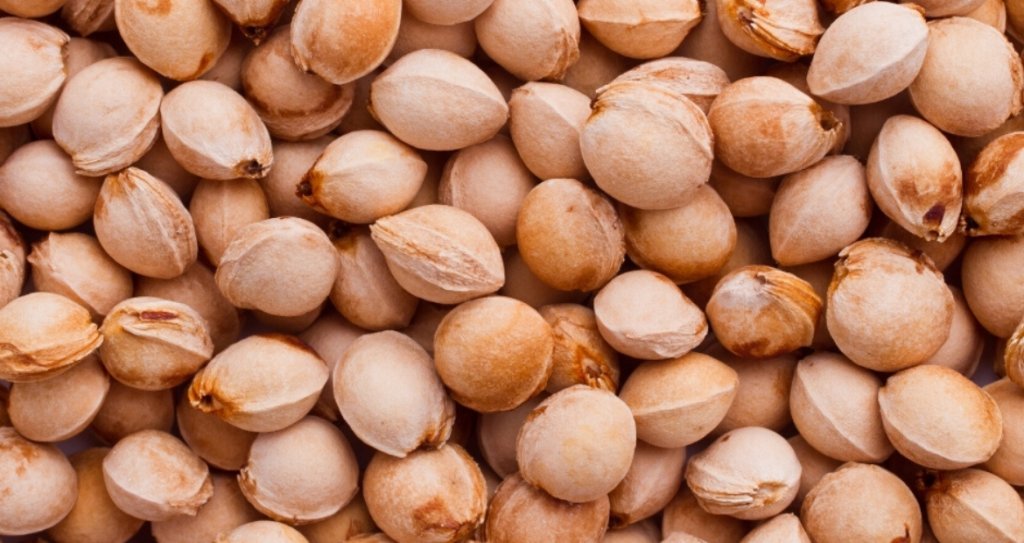 Noccioli-di-ciliegia-Sant'Orsola