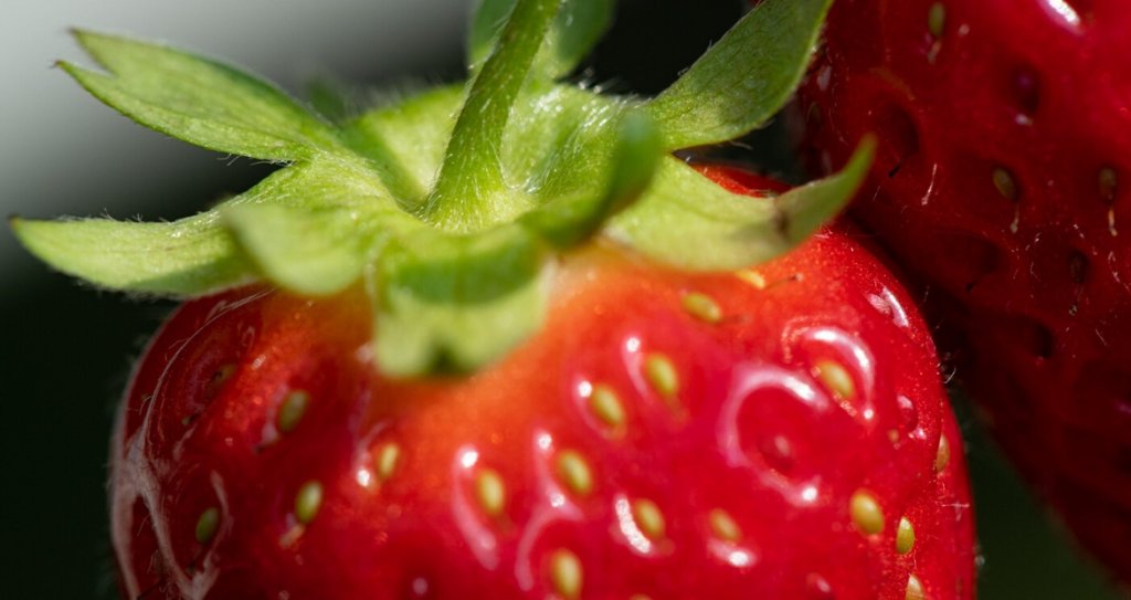 La-fragola-valori-nutrizionali-proprietà-e-benefici