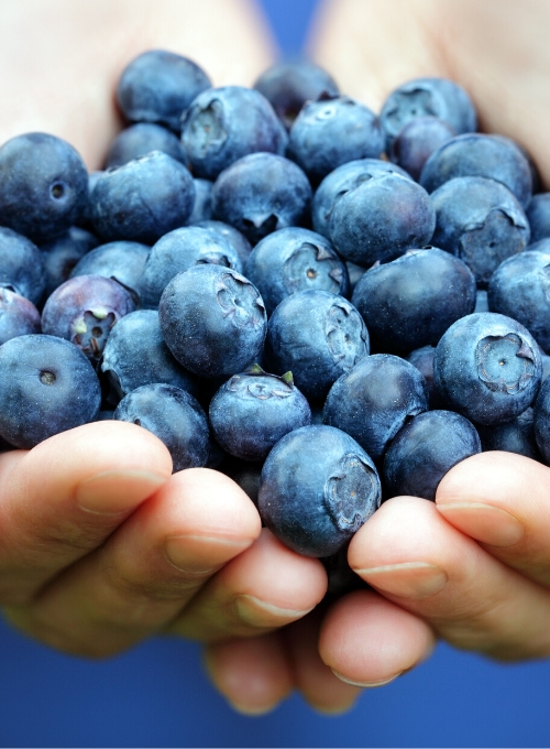 Mirtilli-benefici-e-proprietà-i-piccoli-frutti-perfetti-dopo-l'allenamento