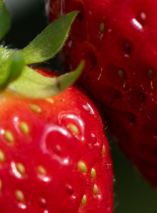 La-fragola-valori-nutrizionali-proprietà-e-benefici