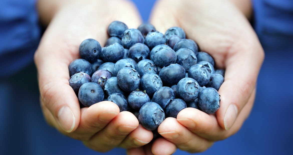 Mirtilli-benefici-e-proprietà-i-piccoli-frutti-perfetti-dopo-l'allenamento