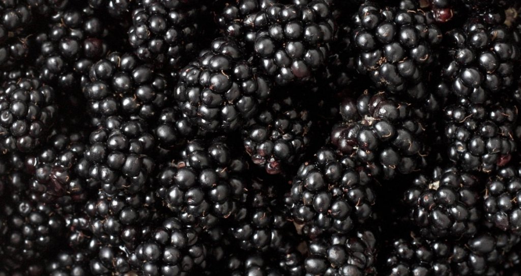 Mora-Proprietà-Benefici-Valori-nutrizionali_Sant'Orsola