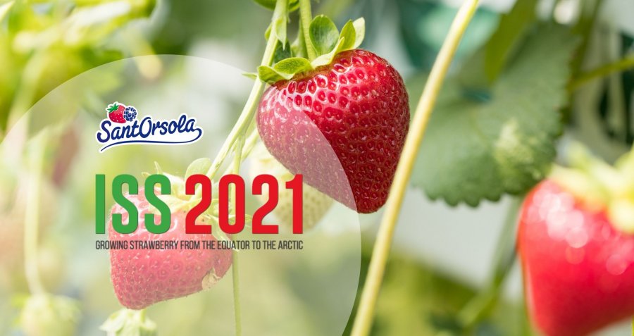 Strawberry-Symposium-ISS2021-Fragola-simposio-Sant'Orsola-Gianluca-Savini