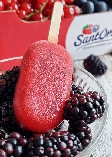 Gelatini-frutti-di-bosco-Sant'Orsola-Ricetta-vegan-vegana-senza-lattosio-senza-glutine