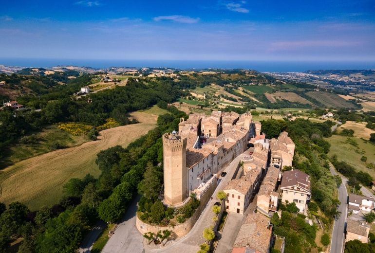 Storie-dai-campi-Sant'Orsola-Gianni-Malavolta-Marche-agricoltura-sostenibile-mirtilli