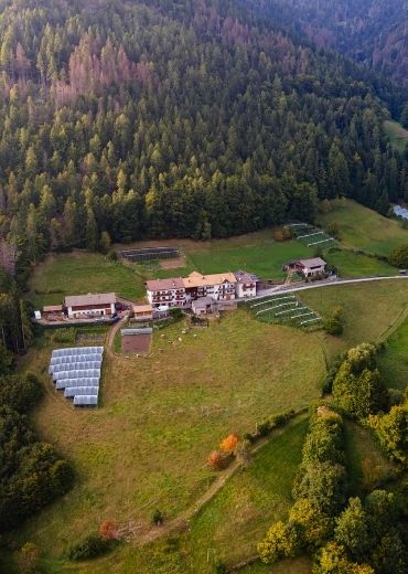 Rosanna-Pallaoro-Storie-dai-campi-Sant'Orsola-more-frutti-di-bosco-piccoli-frutti-trentino-valle-mocheni-agricoltura