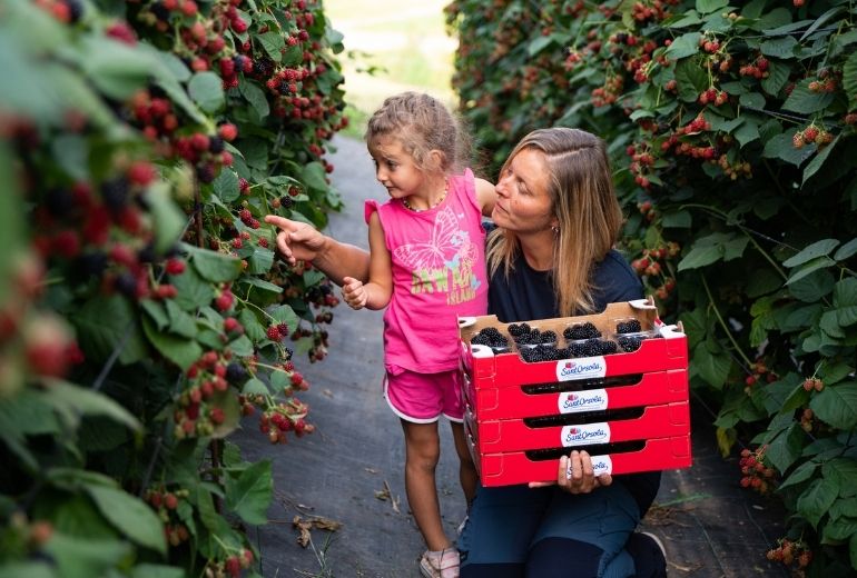 Rosanna-Pallaoro-Storie-dai-campi-Sant'Orsola-more-frutti-di-bosco-piccoli-frutti-trentino-valle-mocheni-agricoltura