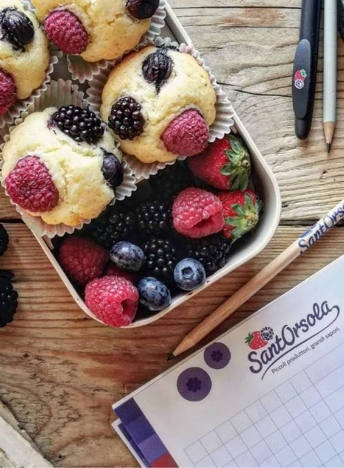 Back-to-school-SantOrsola-Muffin-frutti-di-bosco-senza-glutine-ricetta-Monica-Bellin