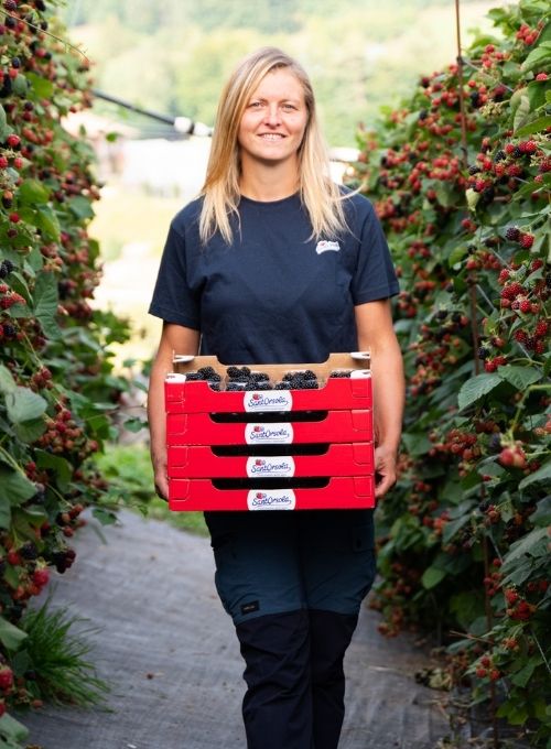 Rosanna-Pallaoro-Storie-dai-campi-Sant'Orsola-more-frutti-di-bosco-piccoli-frutti-trentino-valle-mocheni-agricoltura