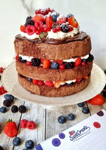 Torta-a-strati-multistrato-frutti-di-bosco-cioccolato-panna-lamponi-mirtilli-ribes-fragole-more-Sant'Orsola-piccoli-frutti