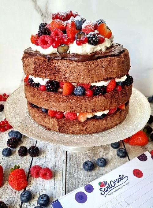 Torta-a-strati-multistrato-frutti-di-bosco-cioccolato-panna-lamponi-mirtilli-ribes-fragole-more-Sant'Orsola-piccoli-frutti