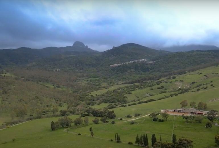 Sant'Orsola-Storie-dai-campi-Rocco-Portolesi-Calabria-Bovalino-lamponi-more-mirtillo-piccoli-frutti-di-bosco-agricoltura-sostenibile