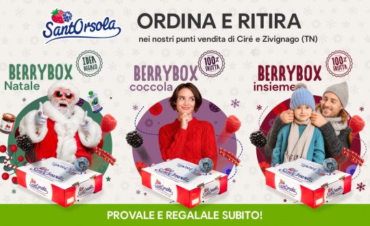 Ordina-e-ritira-Sant'Orsola-Berrybox-Natale